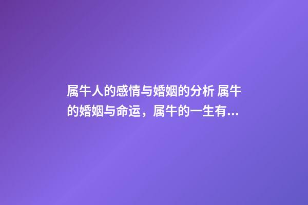 属牛人的感情与婚姻的分析 属牛的婚姻与命运，属牛的一生有几次婚姻-第1张-观点-玄机派